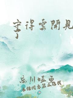 守得云开见月明了
