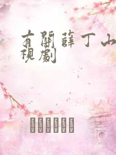 有关薛丁山的电视剧