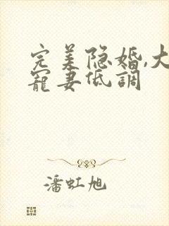 完美隐婚,大佬宠妻低调