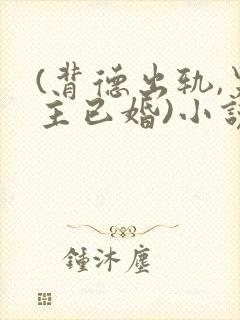 (背德出轨,男主已婚)小说