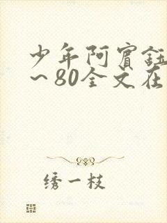 少年阿宾钰慧1～80全文在线阅读