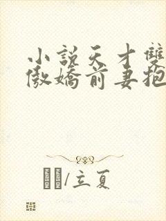 小说天才双宝:傲娇前妻抱回家