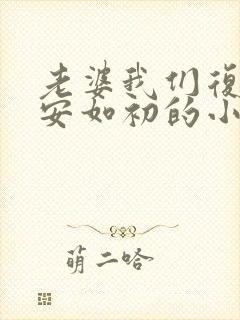 老婆我们复婚吧安如初的小说全文免费阅读