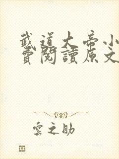 武道大帝小说免费阅读原文