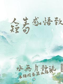 人生感悟致自己短句