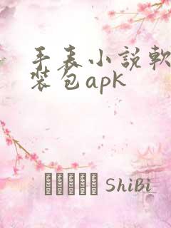 手表小说软件安装包apk