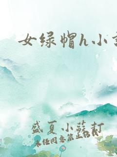 女绿帽h小说
