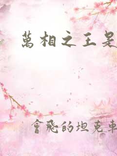 万相之王是什么