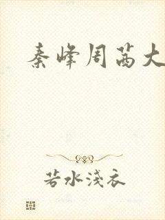 秦峰周茜大结局