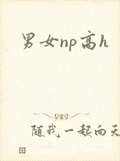 男女np高h