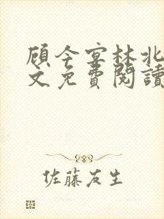 顾今宴林北雾全文免费阅读