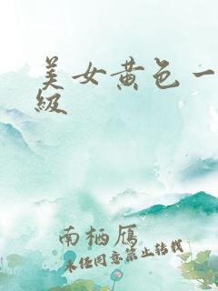 美女黄色一级一级