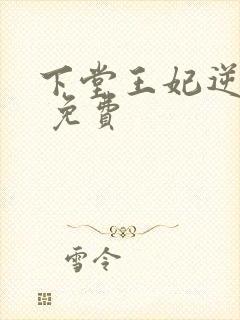 下堂王妃逆袭记 免费