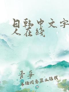 日韩中文字幕成人在线