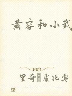 黄容和小武