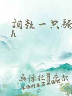 调教一只骚母狗h