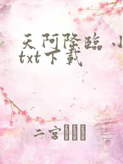 天阿降临 小说txt下载