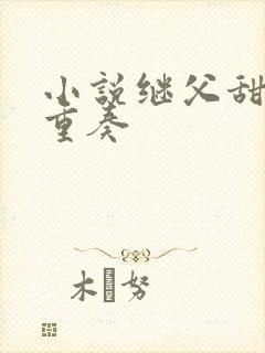 小说继父甜宠四重奏