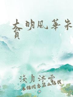 大明风华朱棣演员