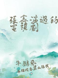 张鑫演过的全部电视剧