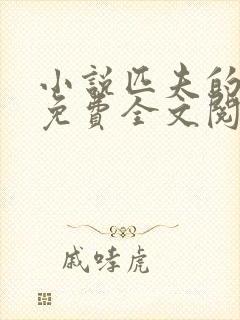 小说匹夫的逆袭免费全文阅读