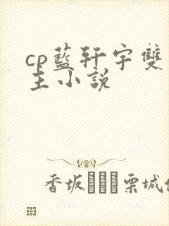 cp蓝轩宇双男主小说