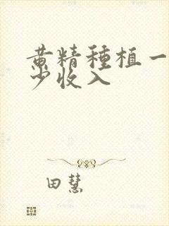 黄精种植一亩多少收入