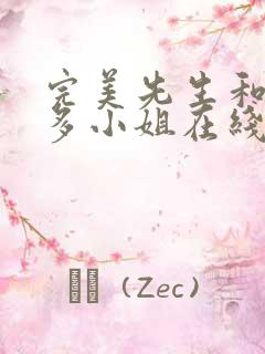 完美先生和差不多小姐在线观看全集免费播放