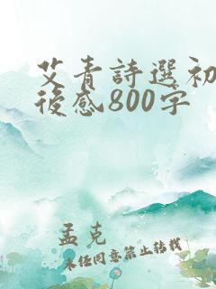 艾青诗选初三读后感800字