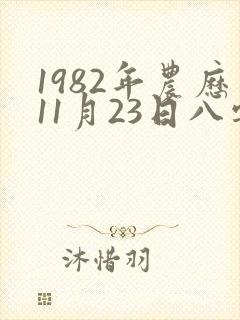 1982年农历11月23日八字运程