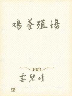 鸡养殖场 鸡养殖场