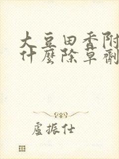 大豆田香附子用什么除草剂能根除