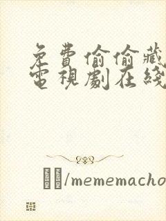 免费偷偷藏不住电视剧在线观看 免费偷偷藏不住电视剧在线观看