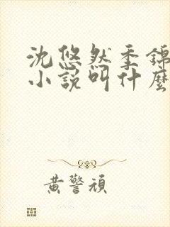 沈悠然季锦川的小说叫什么