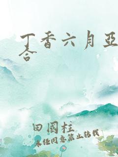 丁香六月亚洲综合