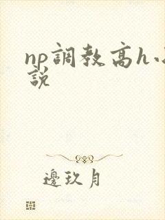 np调教高h小说