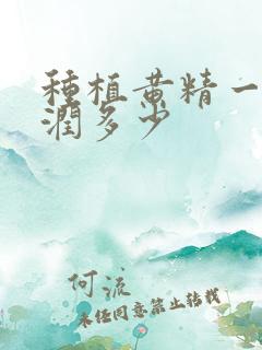种植黄精一亩利润多少 种植黄精一亩利润多少