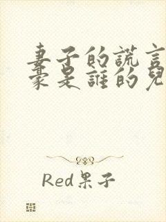 妻子的谎言孙家豪是谁的儿子