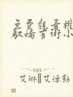免费观看权途之驭娇有术小说