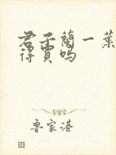 君子兰一叶苗值得买吗