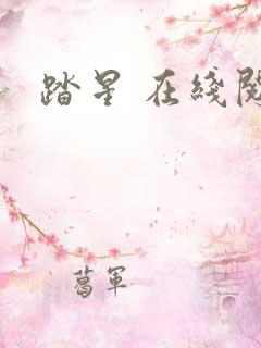 踏星 在线阅读
