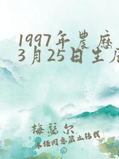 1997年农历3月25日生辰八字