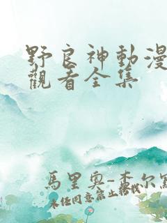 野良神动漫免费观看全集