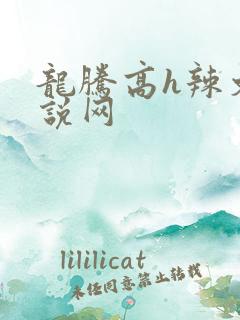 龙腾高h辣文小说网