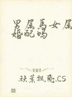 男属马女属鼠能婚配吗