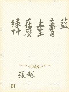 绿在上来蓝在下什么生肖
