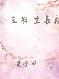 玉米 生长期