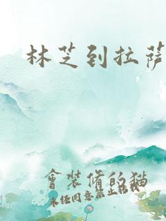 林芝到拉萨开车