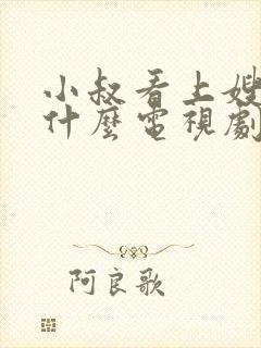 小叔看上嫂子是什么电视剧