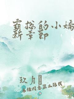 霸总的小娇妻最新章节